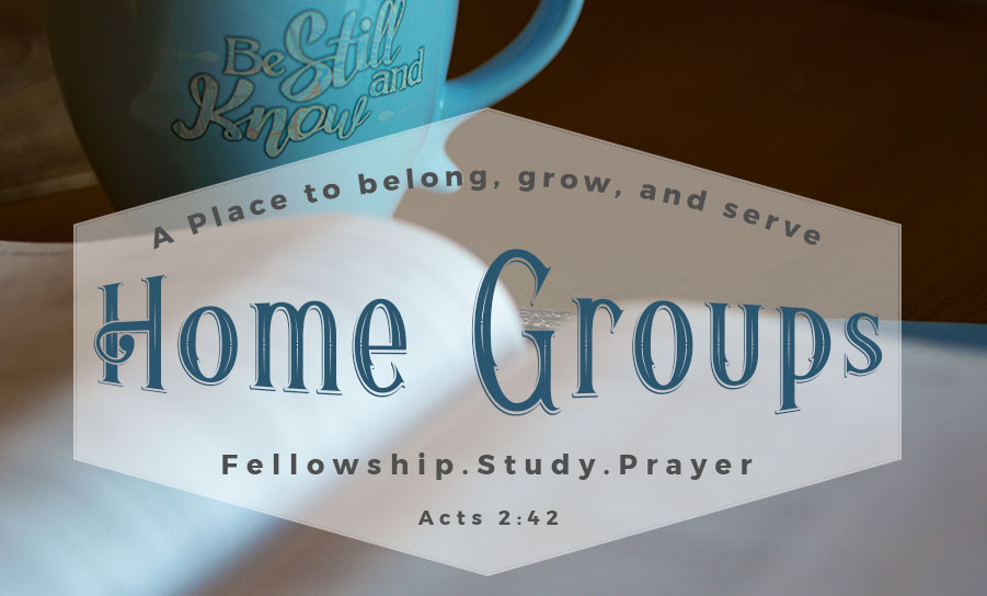 home groups bible