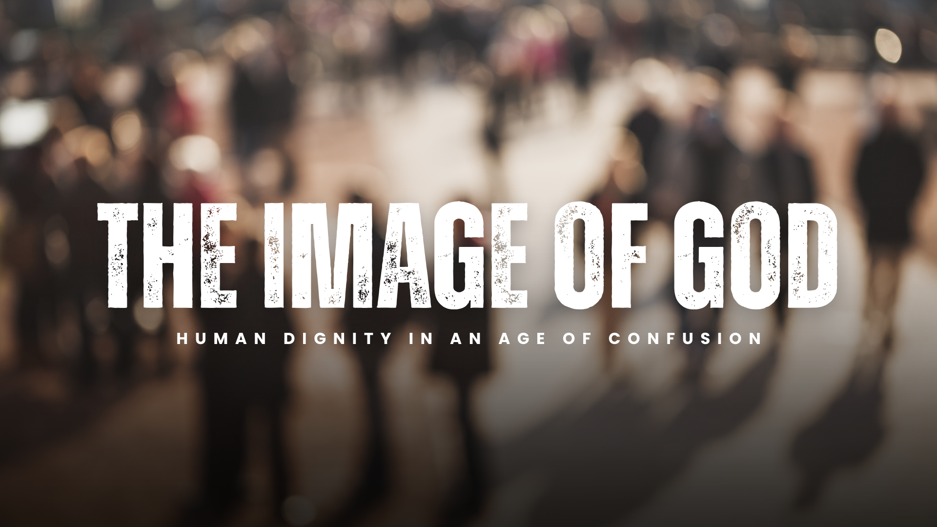 The Image of God series image