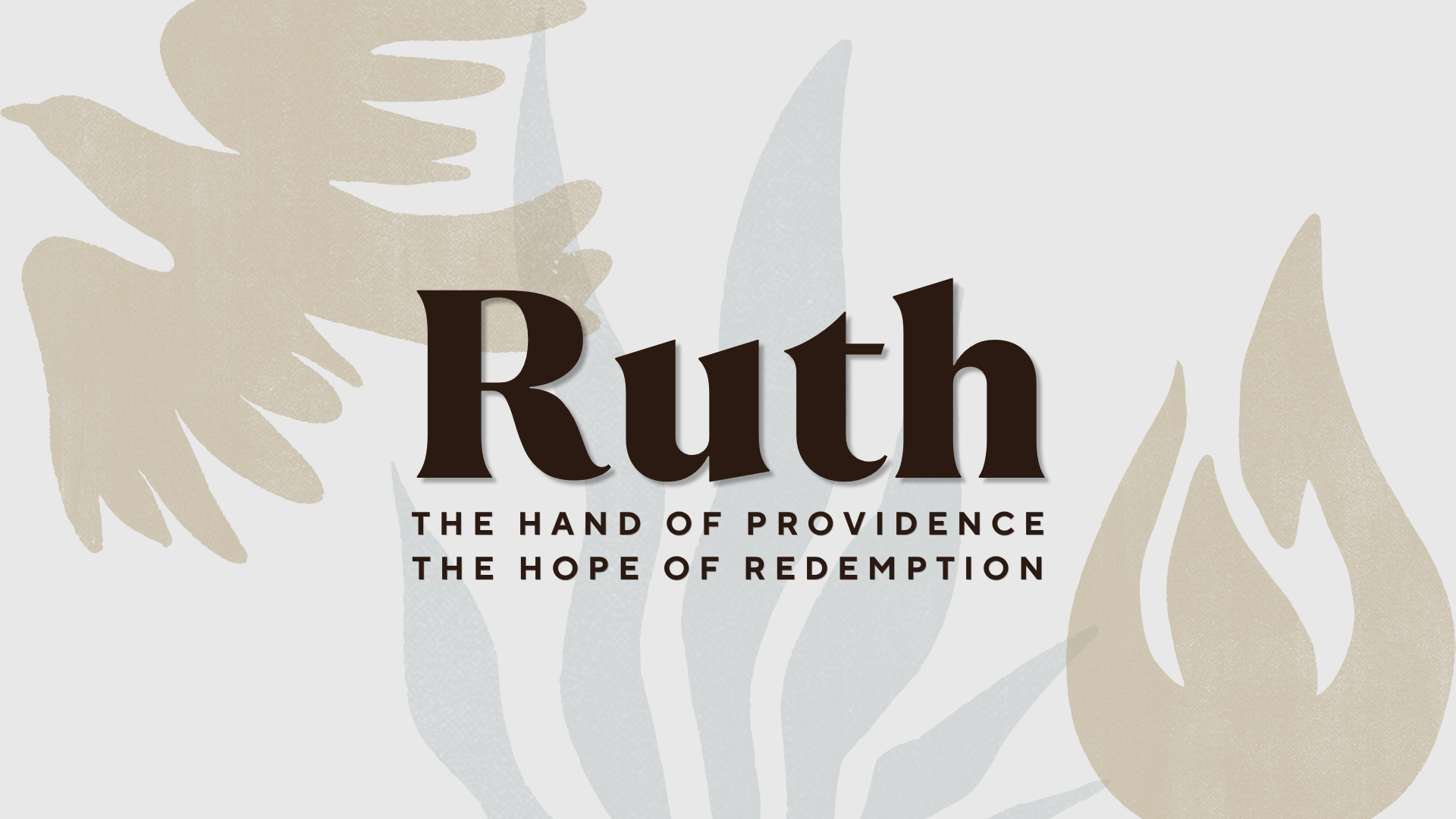 Ruth series image
