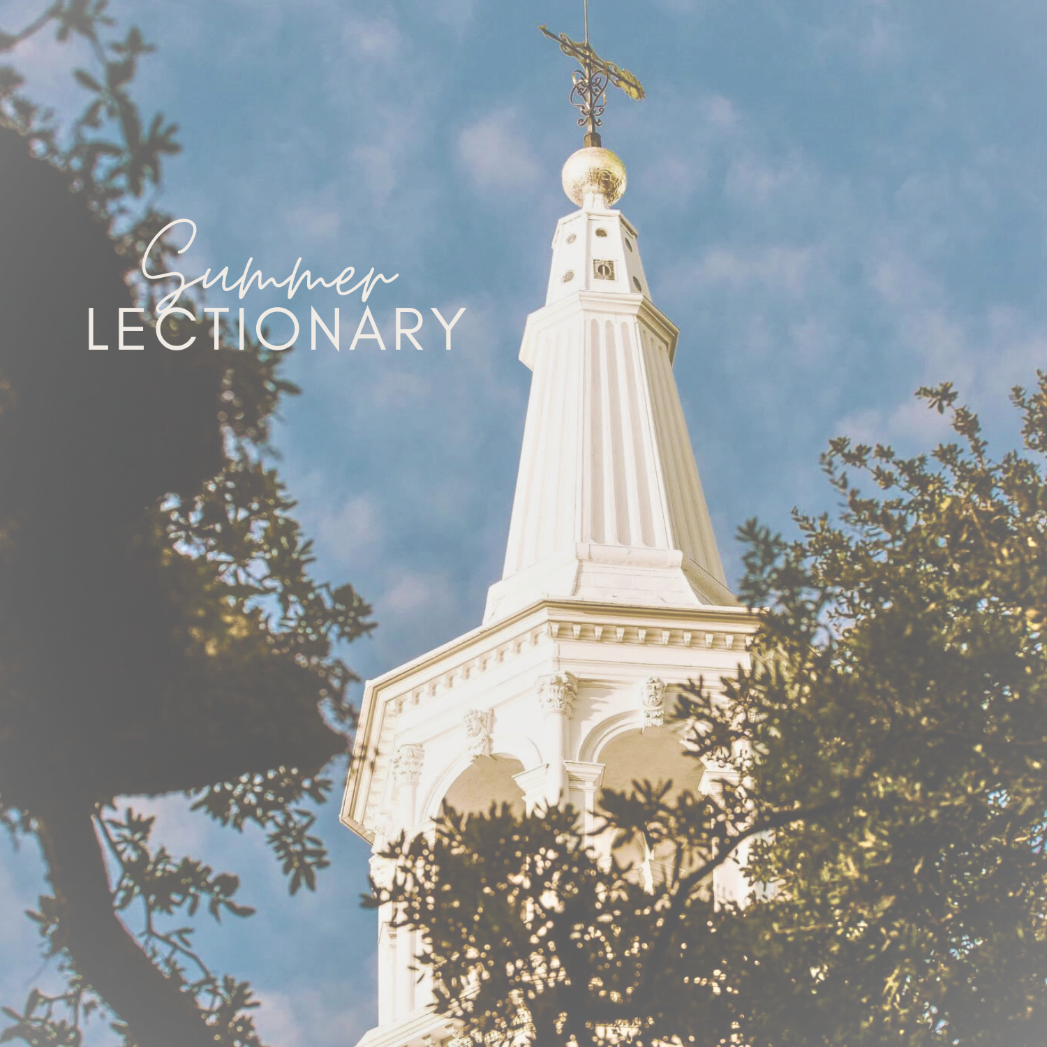 Summer Lectionary banner