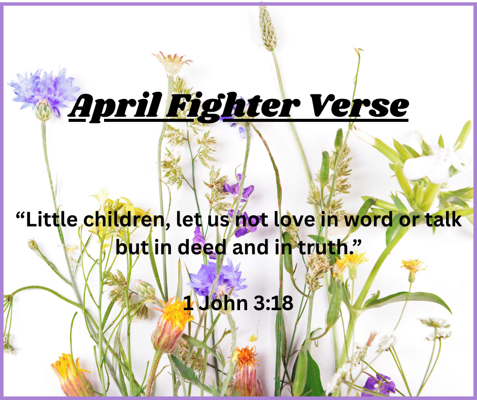 Fighter Verse (1)