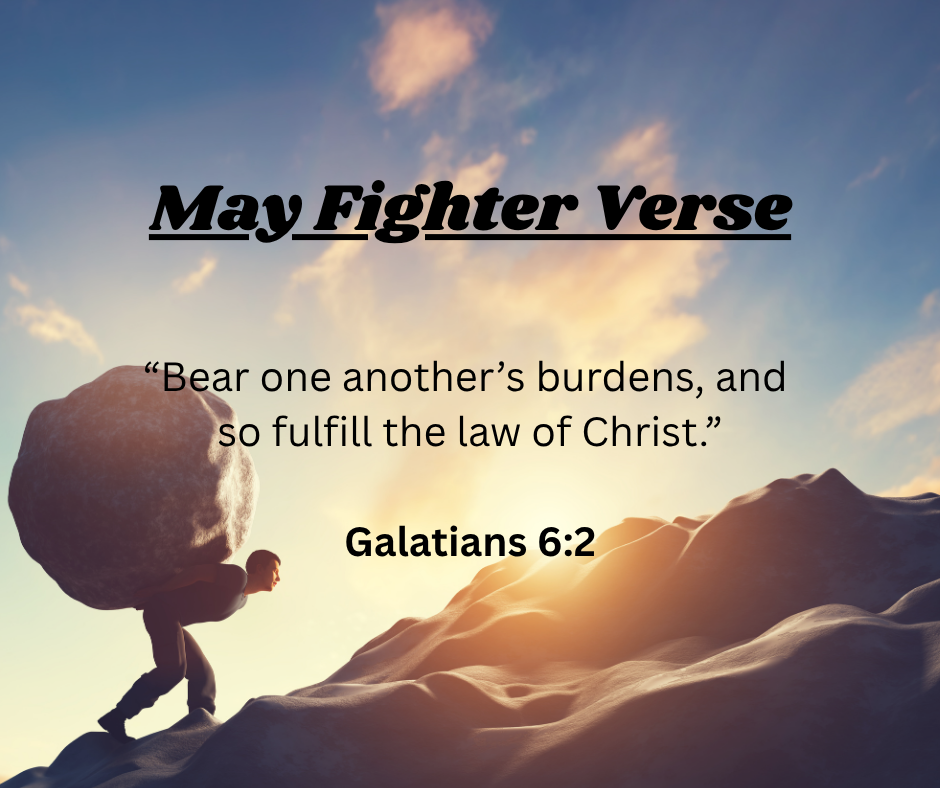 Fighter Verse
