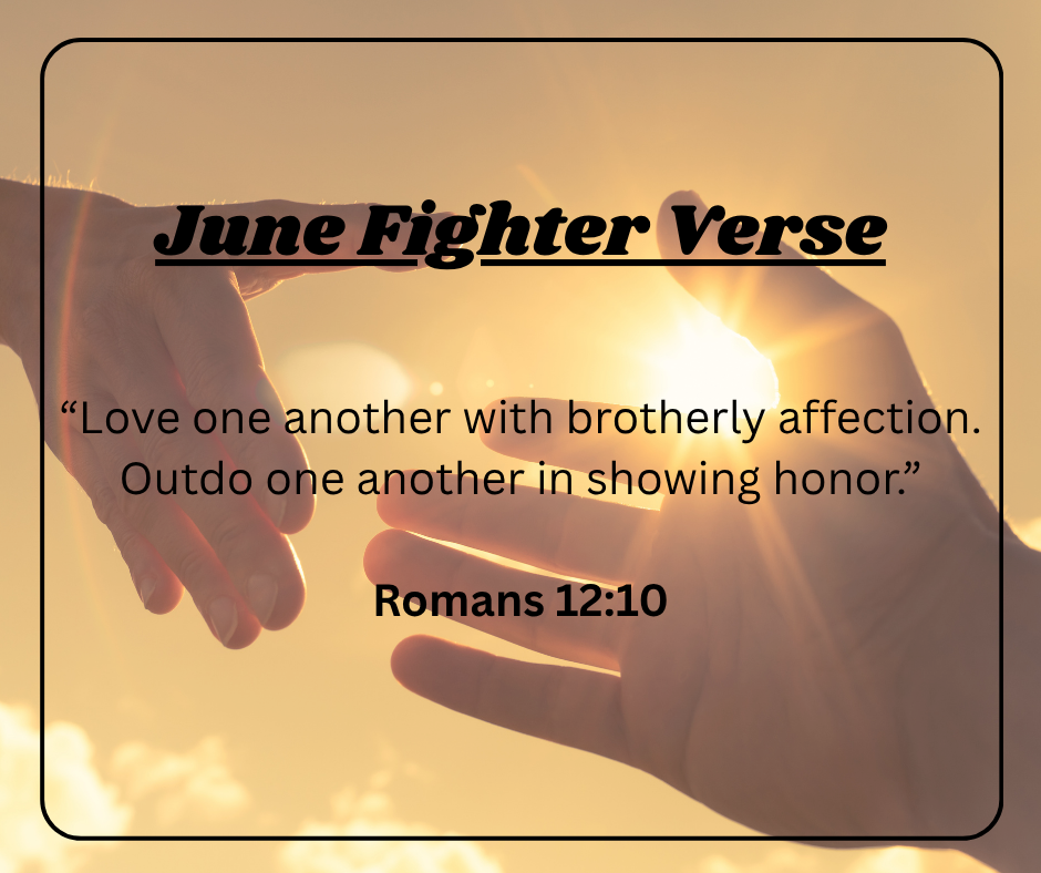 Fighter Verse