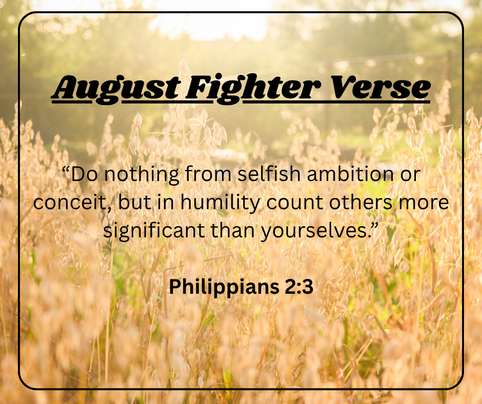 Fighter Verse