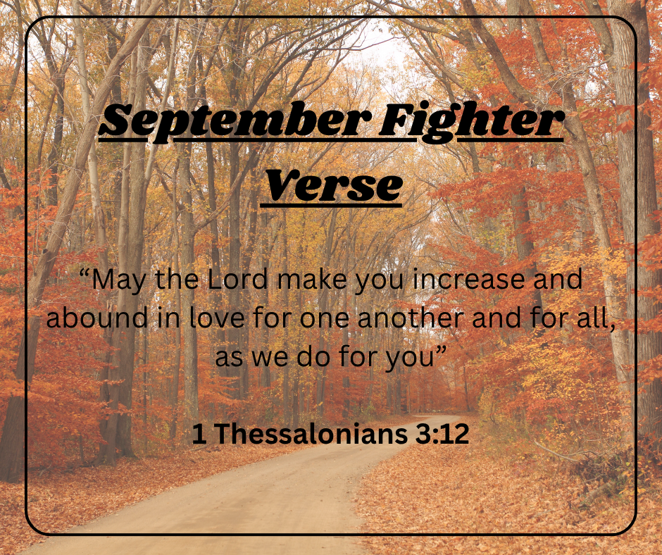 Fighter Verse