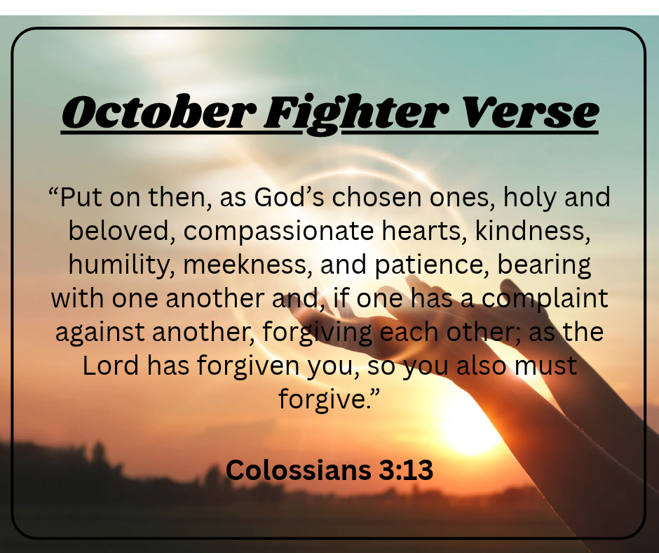 Fighter Verse