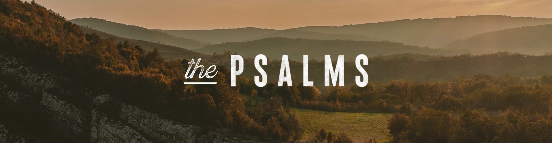 psalms 6b