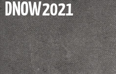 DNOW 2021 banner