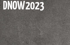 DNOW 2023 banner