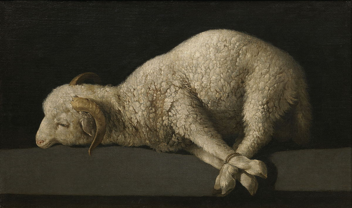 leviticus lamb