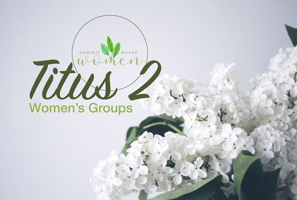 Titus 2 Groups Logo small