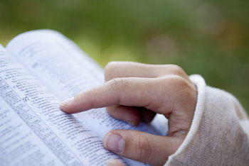 bible_reading_opt