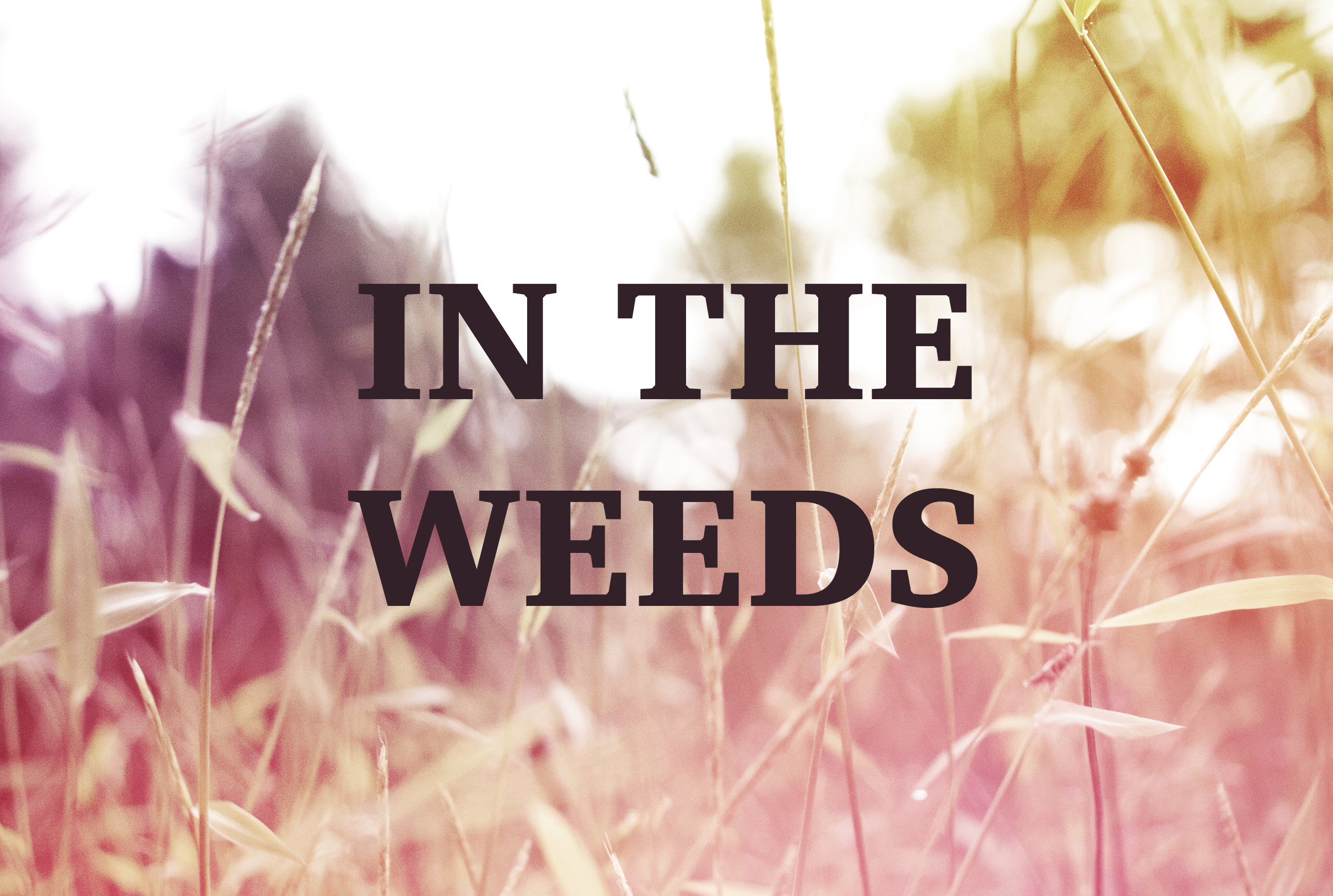 In The Weeds banner