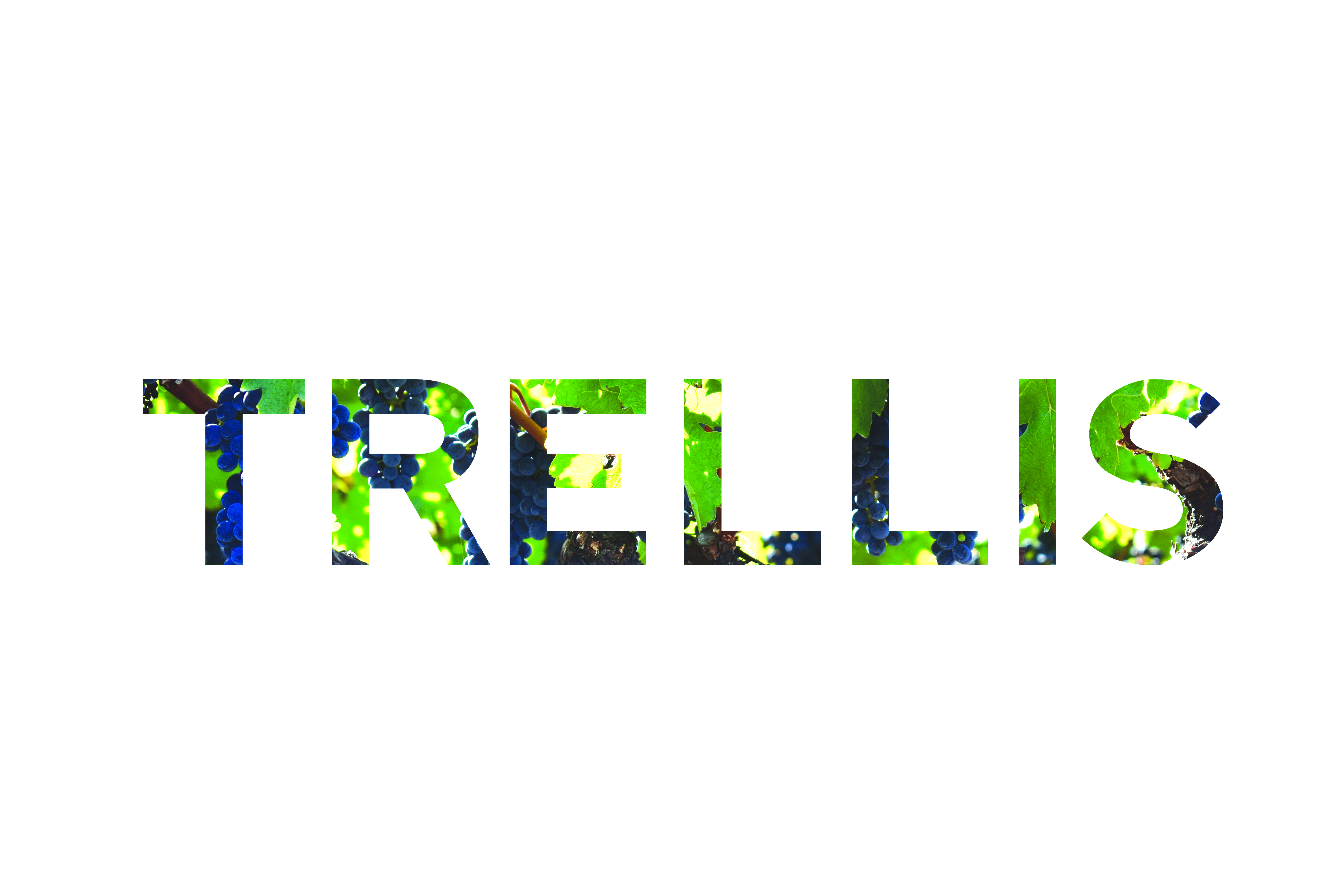 Trellis banner