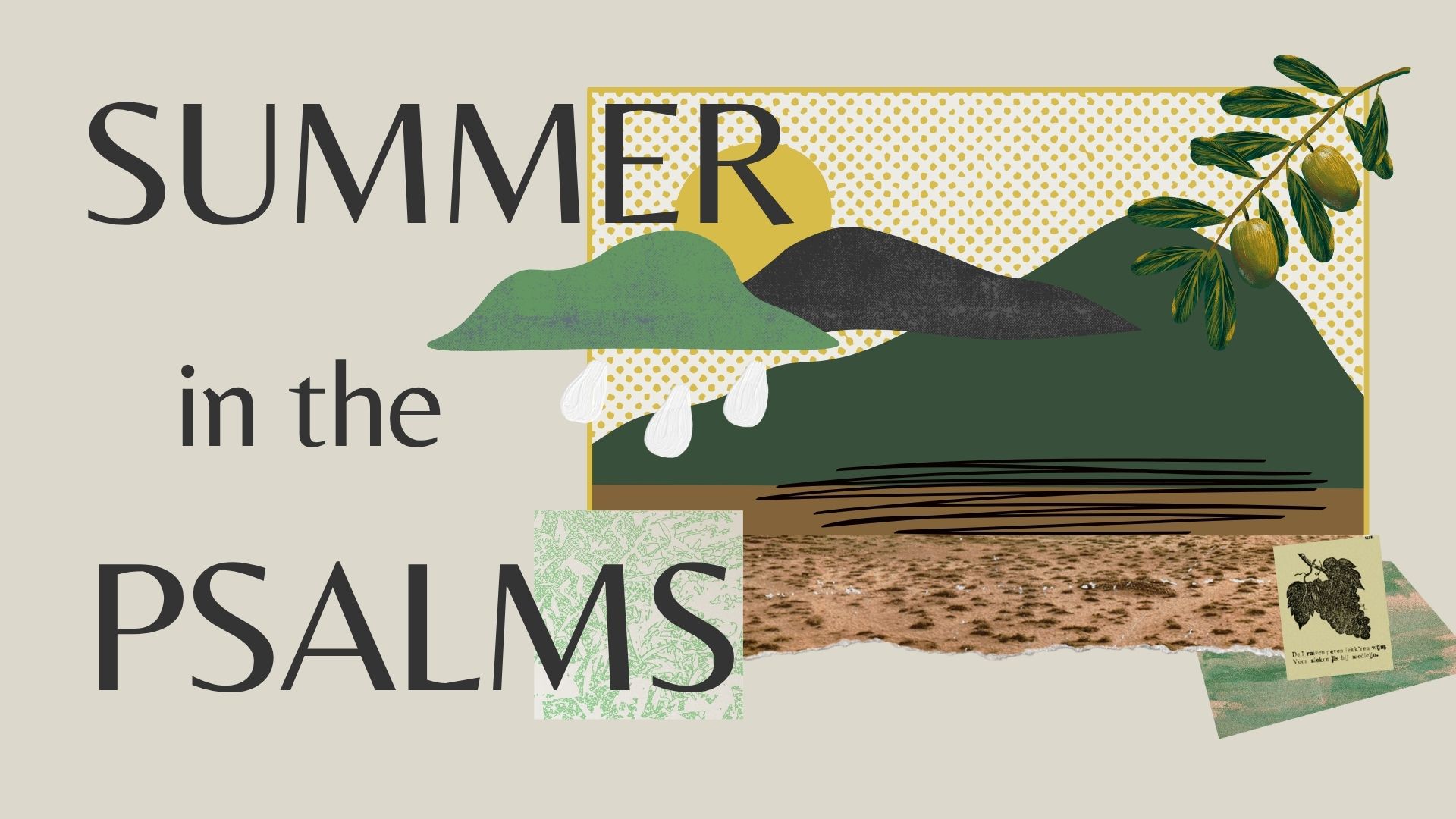 Summer in the Psalms banner