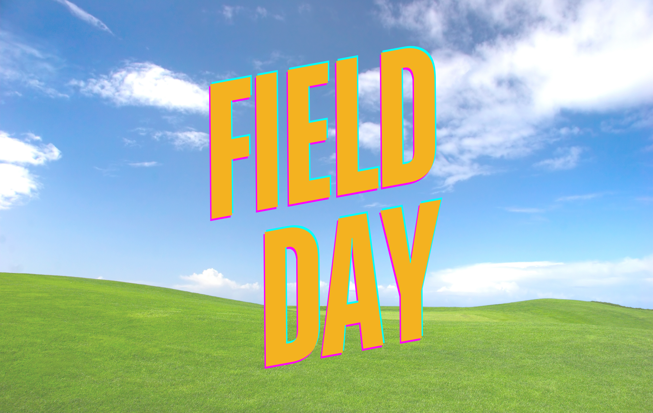 FIELD DAY