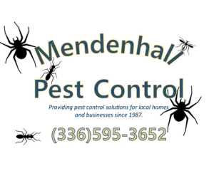 Mendenhall Pest Control - Website Ad (3)