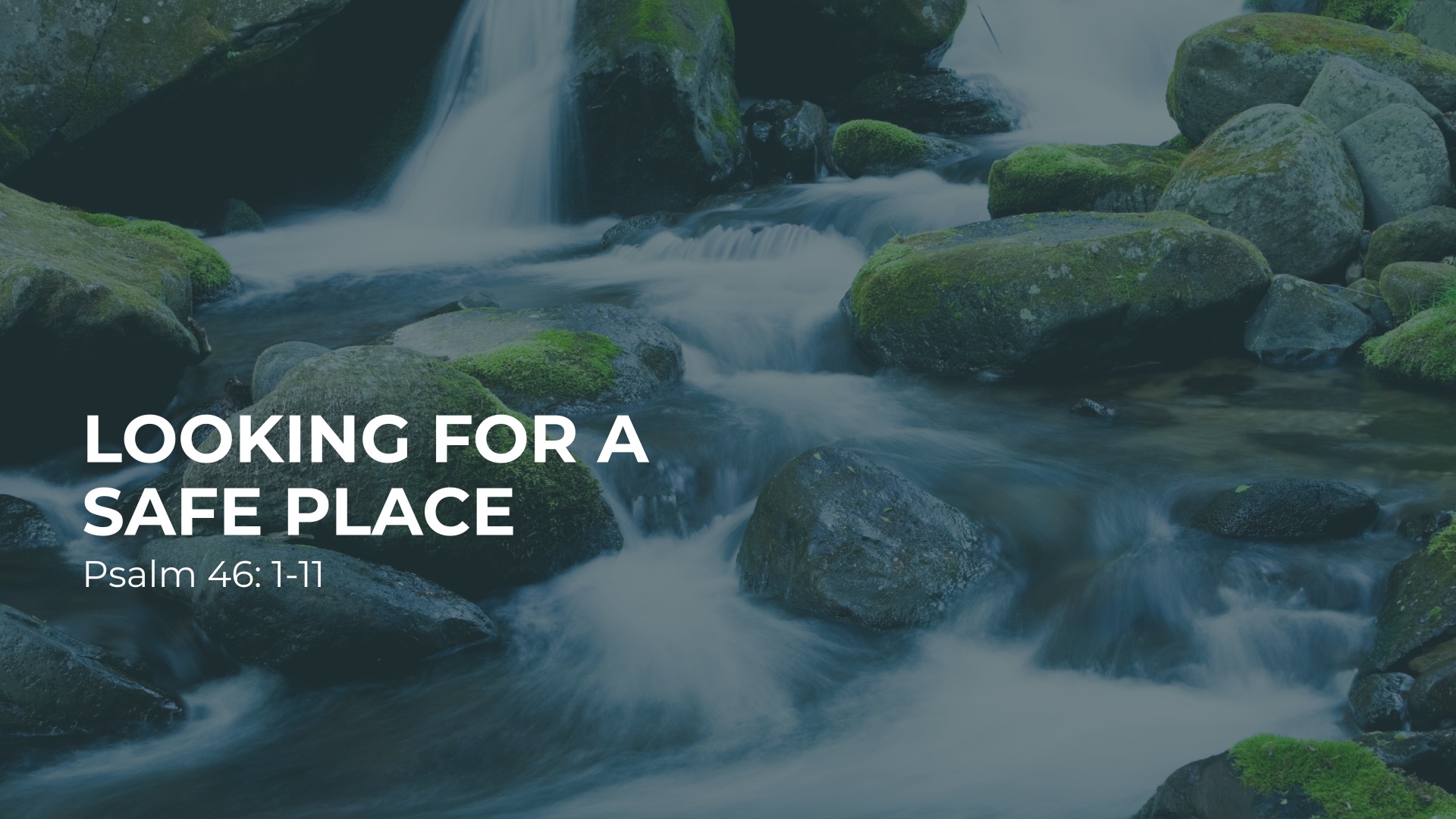 Looking For a Safe Place