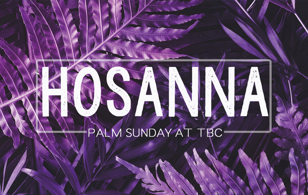 Constant Contact Palm Sunday