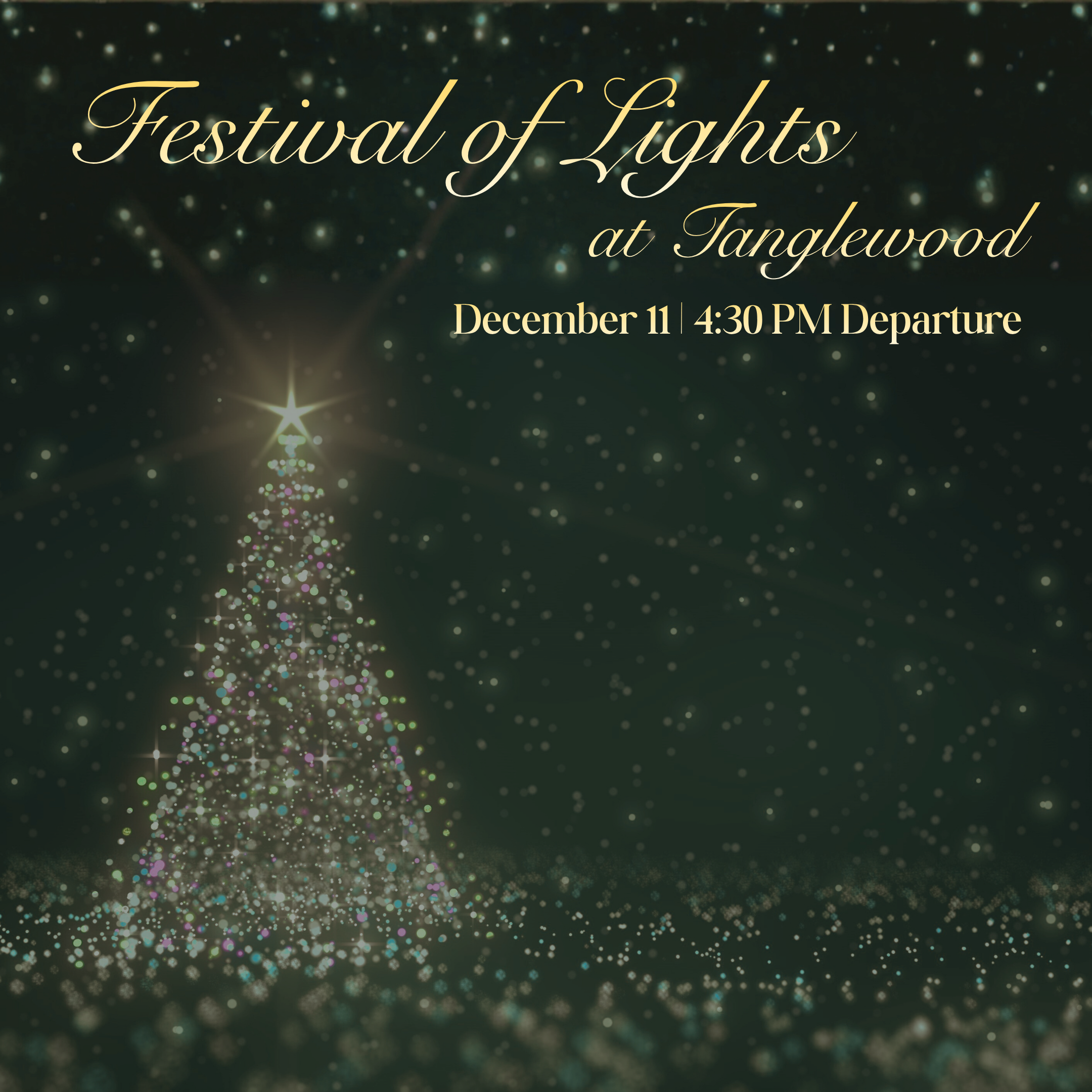 Festival of Lights at Tangelwood