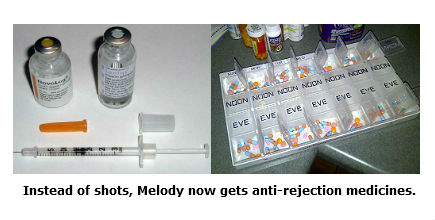 Photo of insulin shots and pill holder with anti-rejection drugs