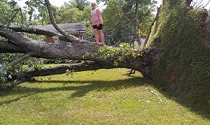 Kyley Perkins on one of several downed trees around the family’s home