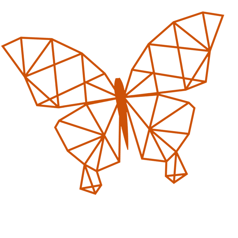 Sharing Hope Butterfly Web Orange