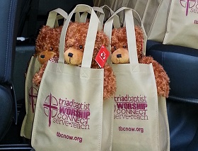 Teddys from Triad gift bags in car before unloading