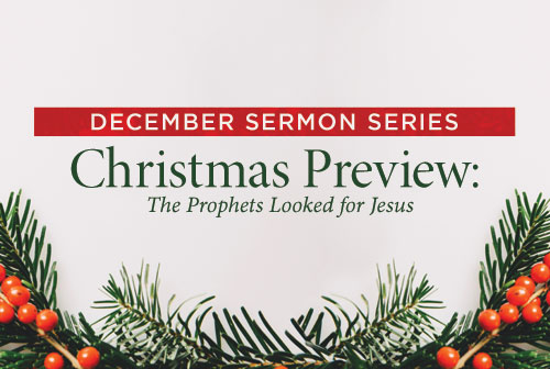 Christmas Preview banner