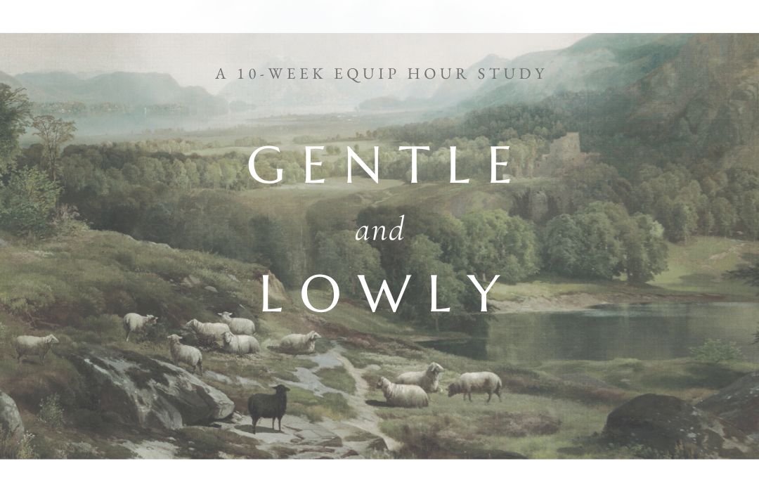 Gentle Lowly Slide (1080 × 700 px) image