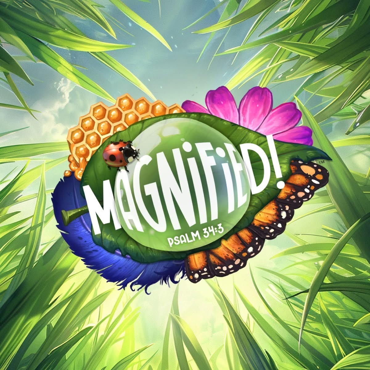Magnified graphic