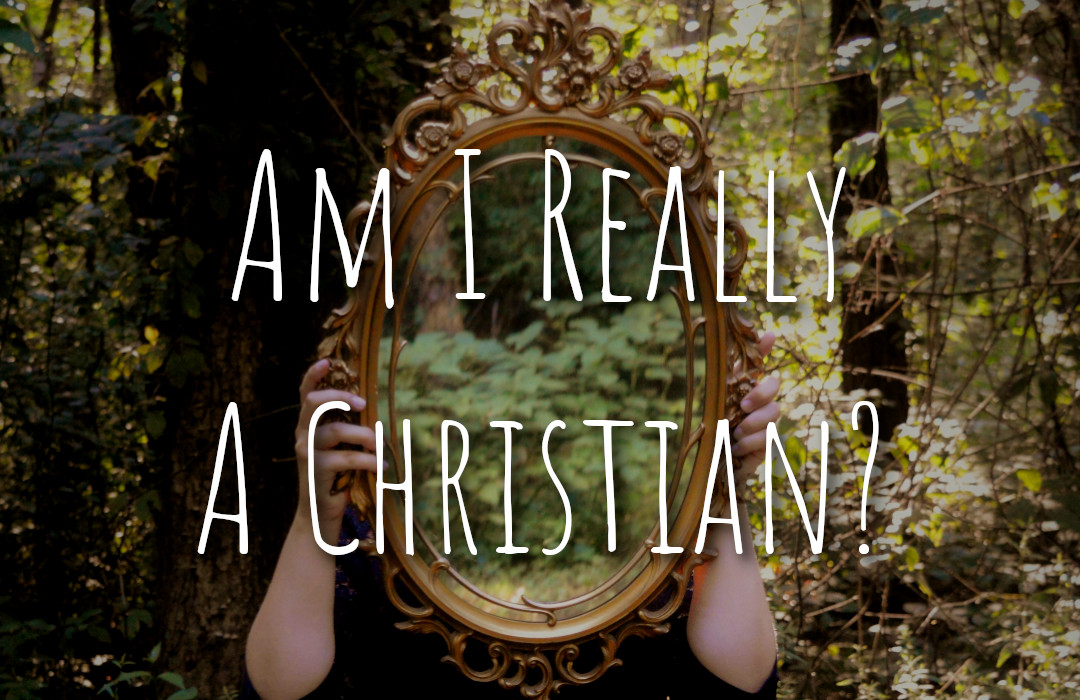 Am I Really A Christian? banner