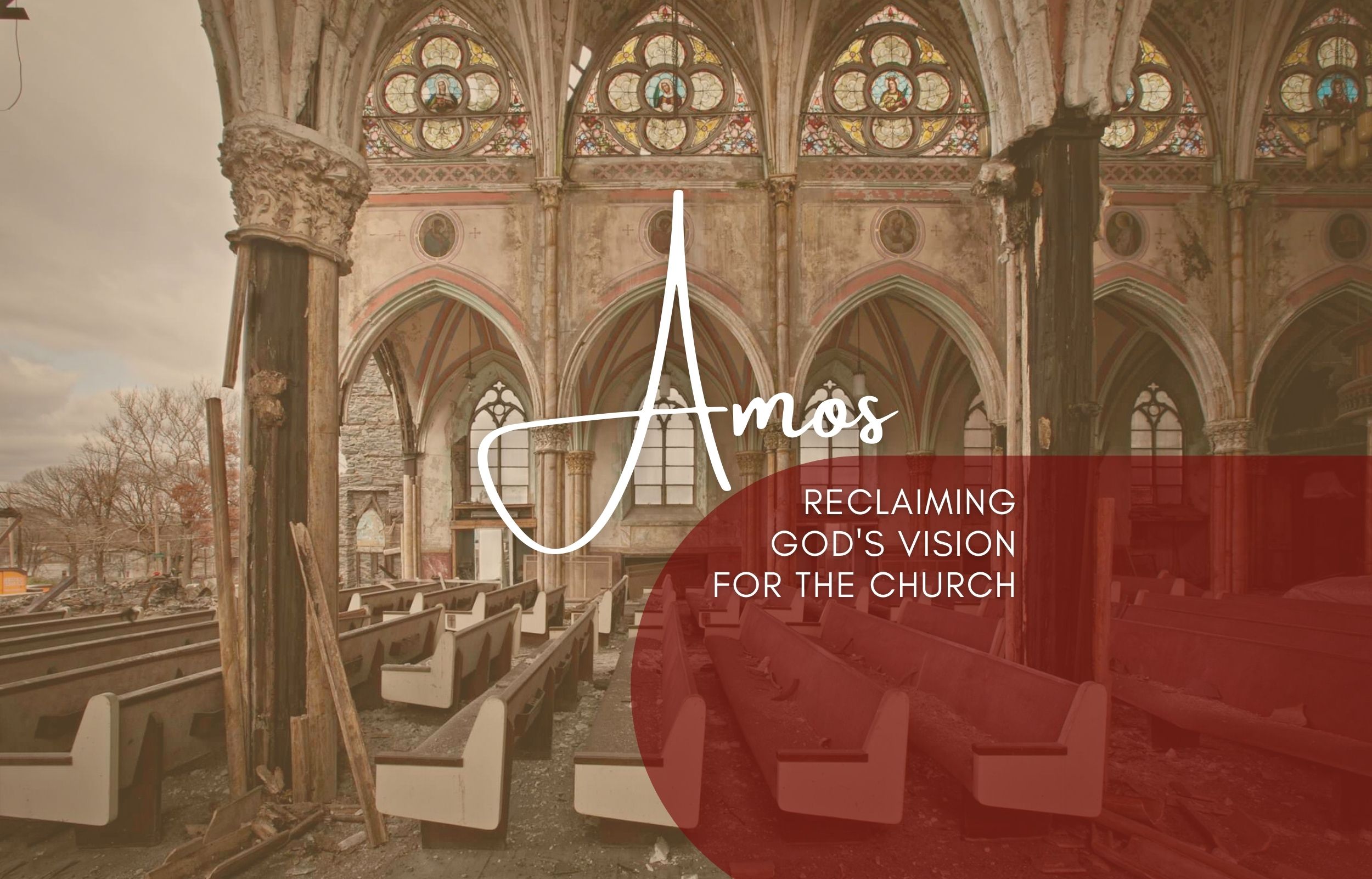 Amos: Reclaiming God's Vision for the Church banner