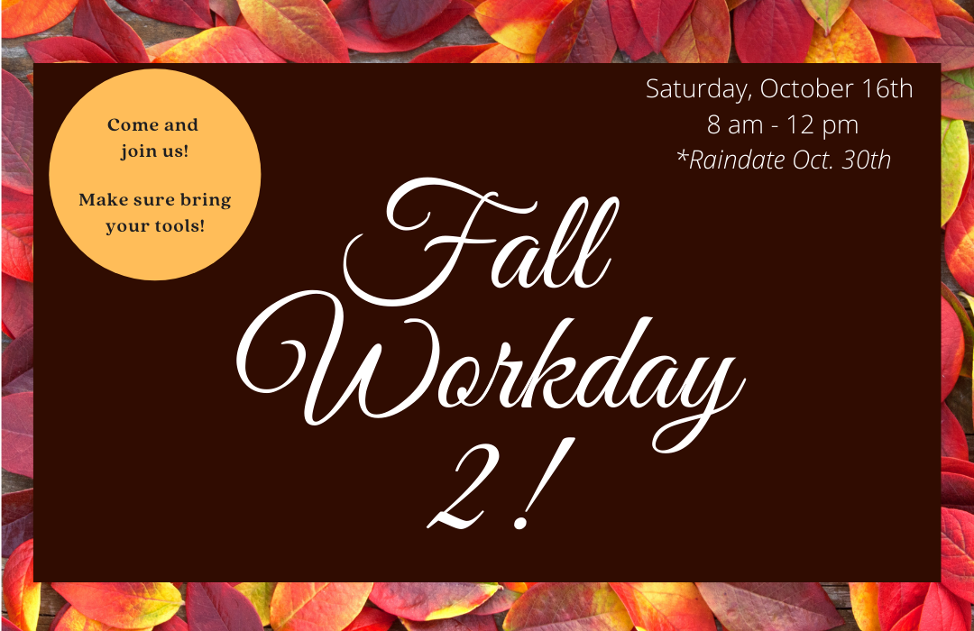 Fall Workday 2 web image
