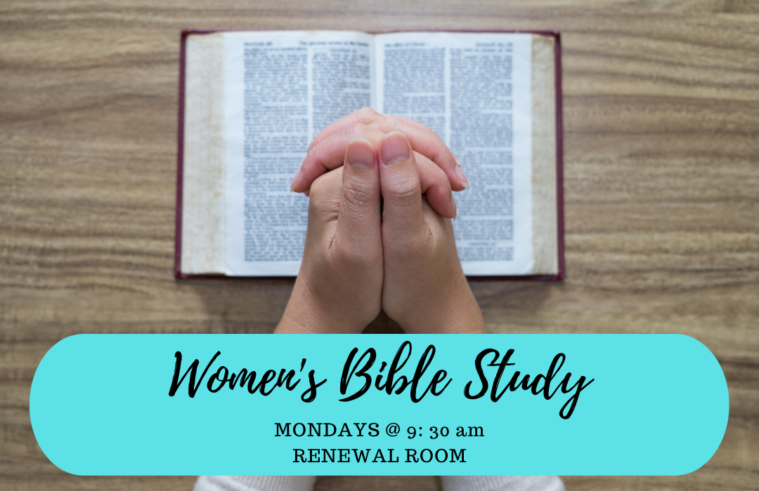 Women's Bible Study NEW! Web