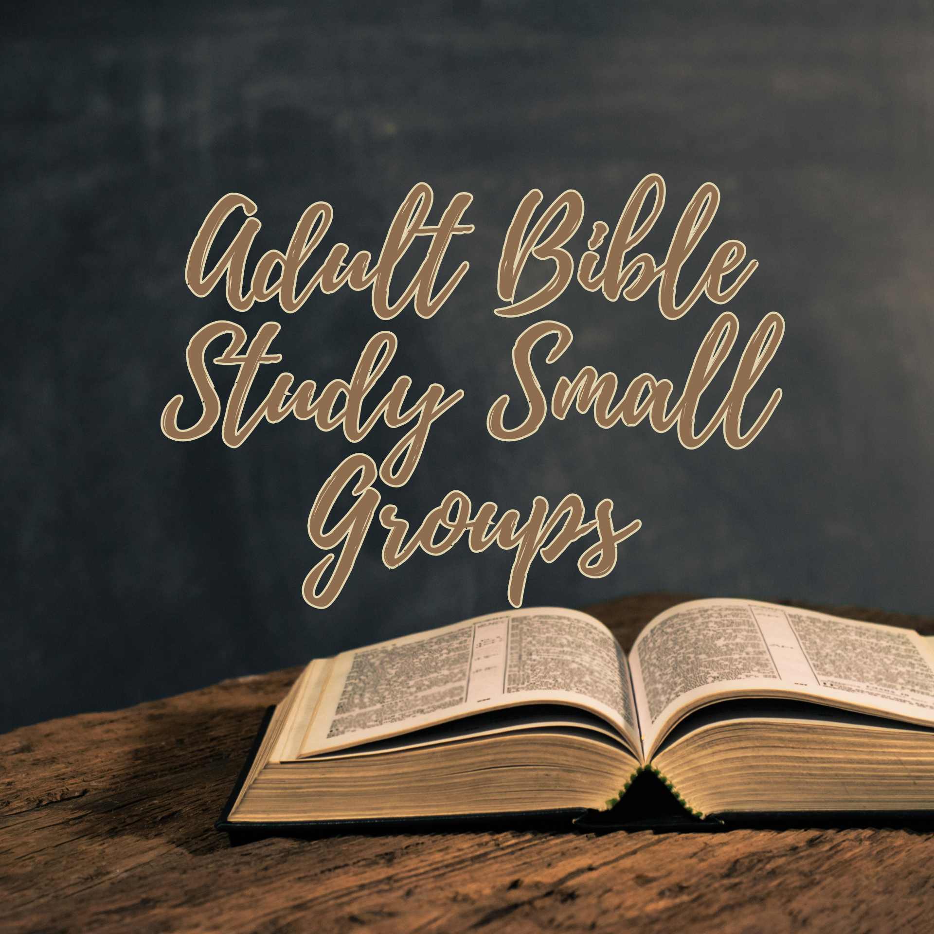 Small Groups fall 24