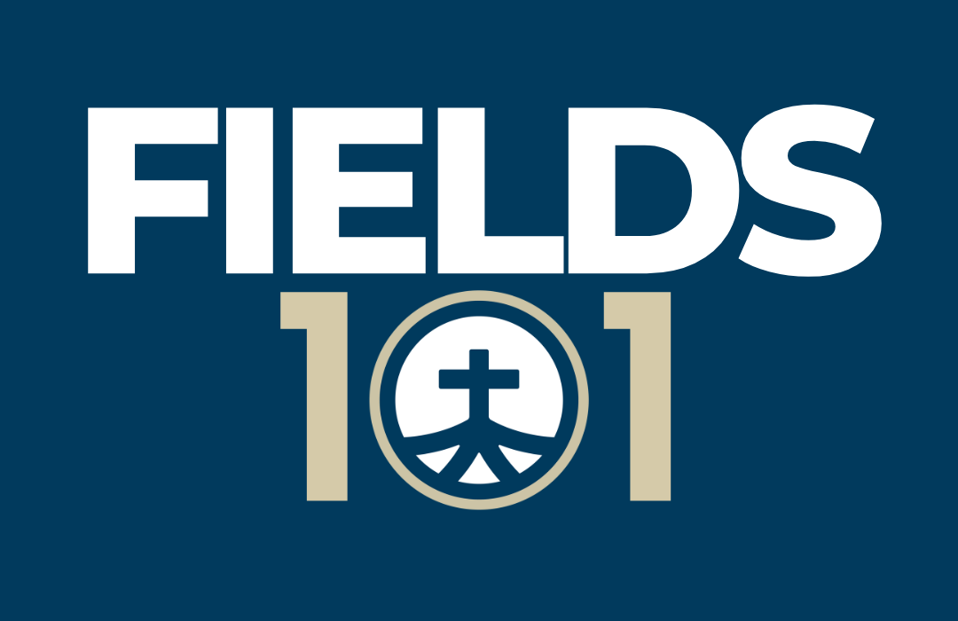 WEBSITE - Fields 101 image