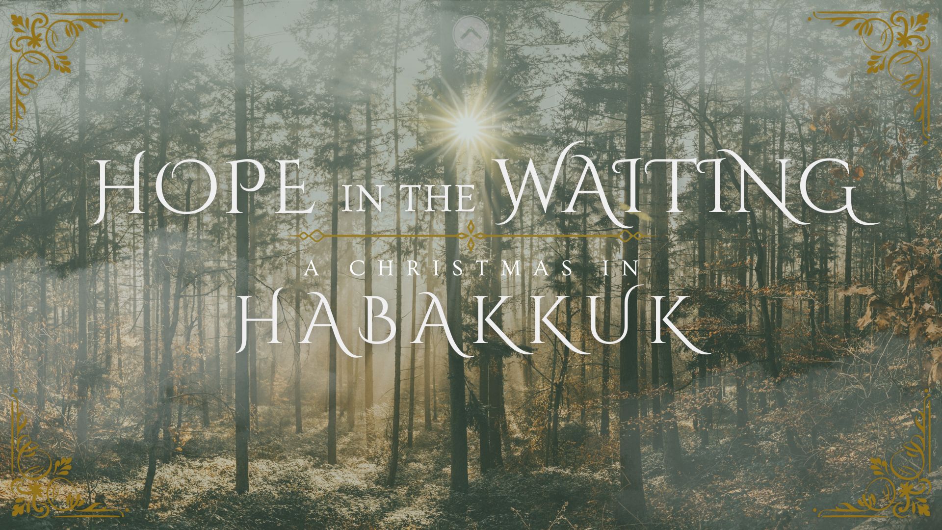 Habakkuk series image