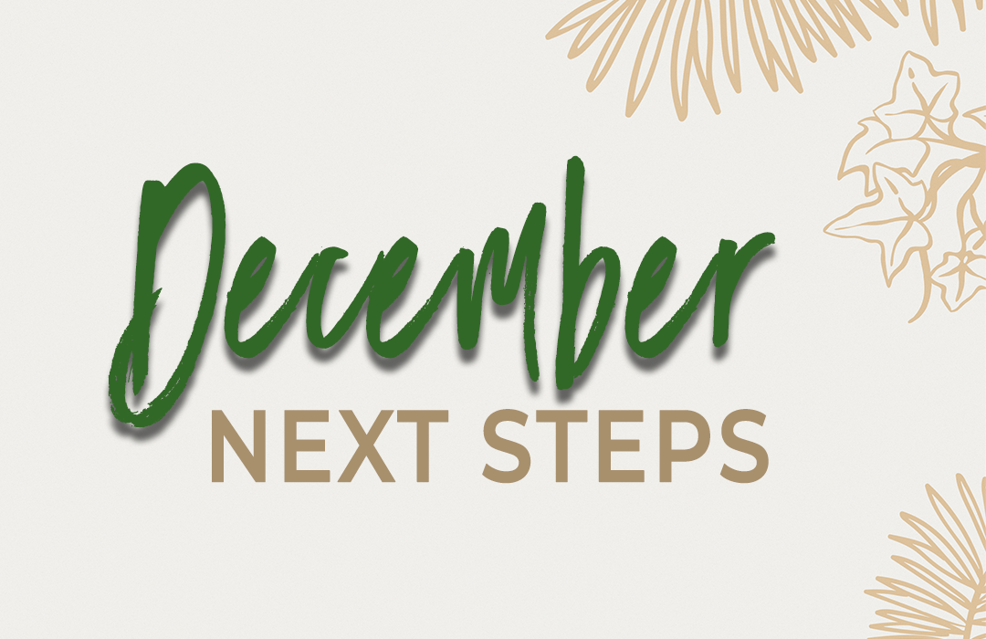 Dec 22 Next steps
