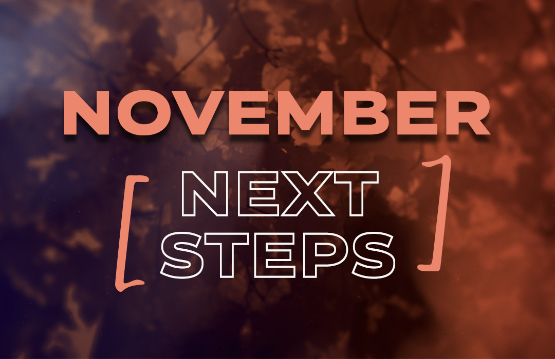 Nov 22 Next Steps