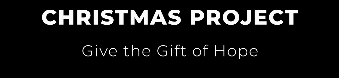 NS Center Blocks Christmas Project