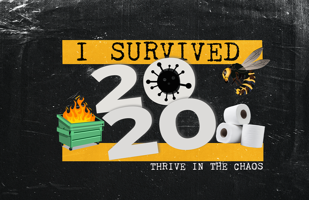 I SURVIVED 2020 banner
