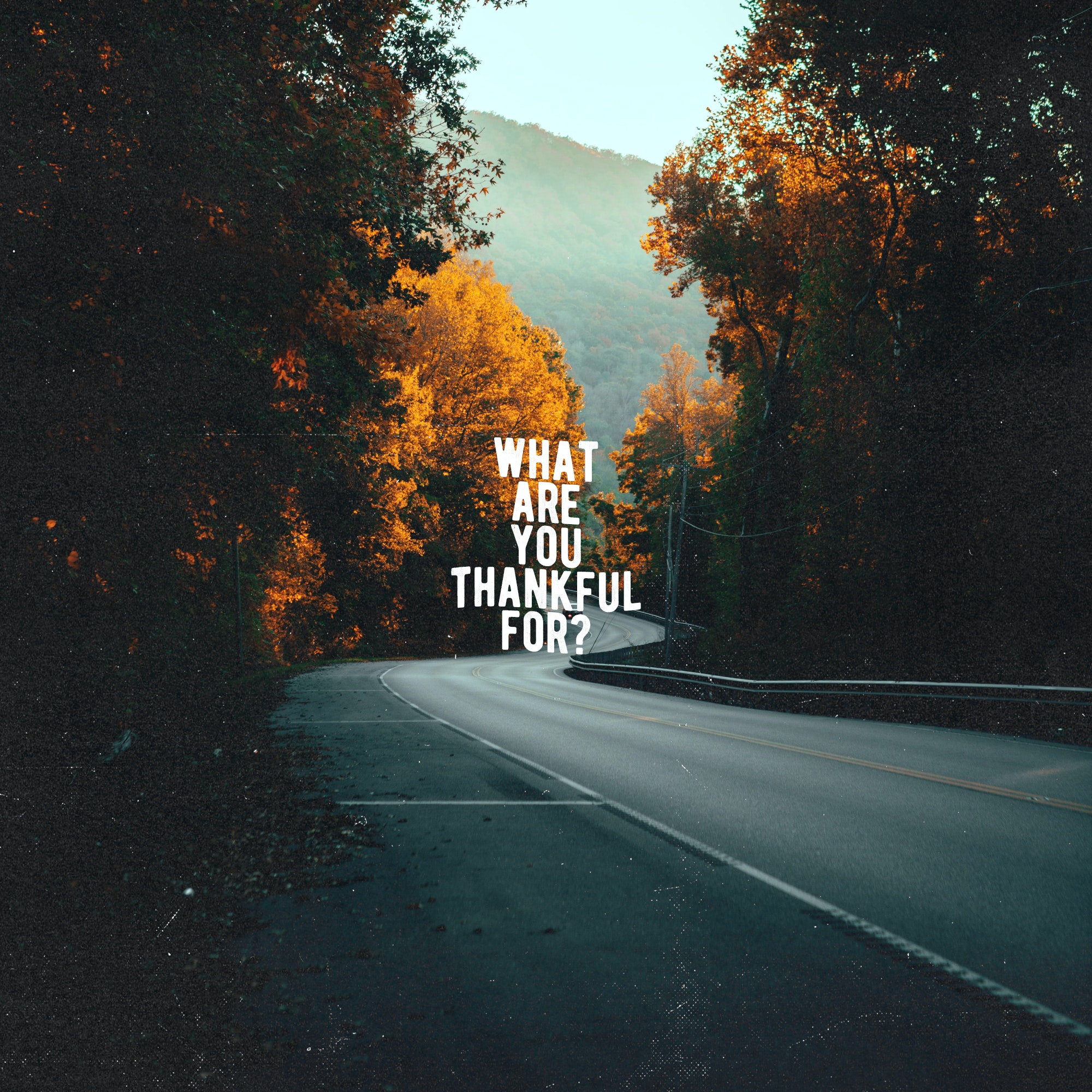 What Are You Thankful For Fall Leaves Road - Title