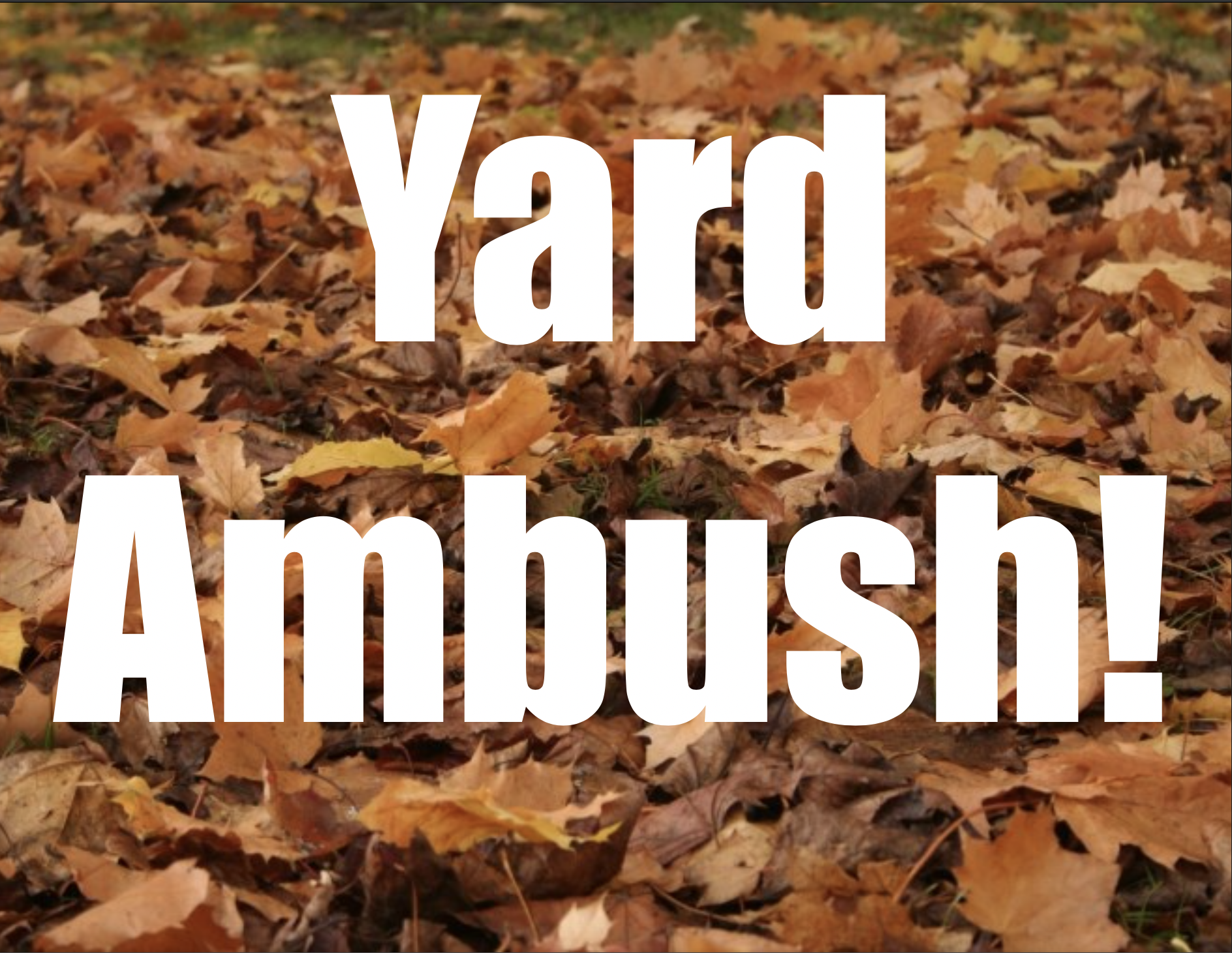 Yard Ambush North image