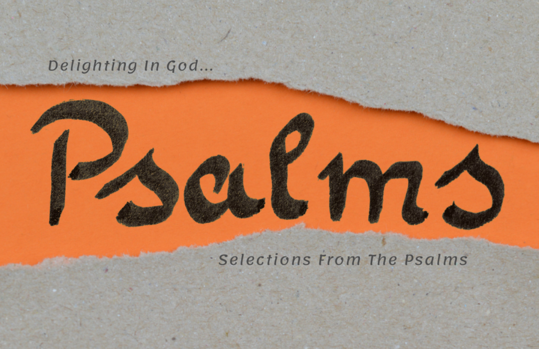 Delighting in God...Selections From The Psalms banner