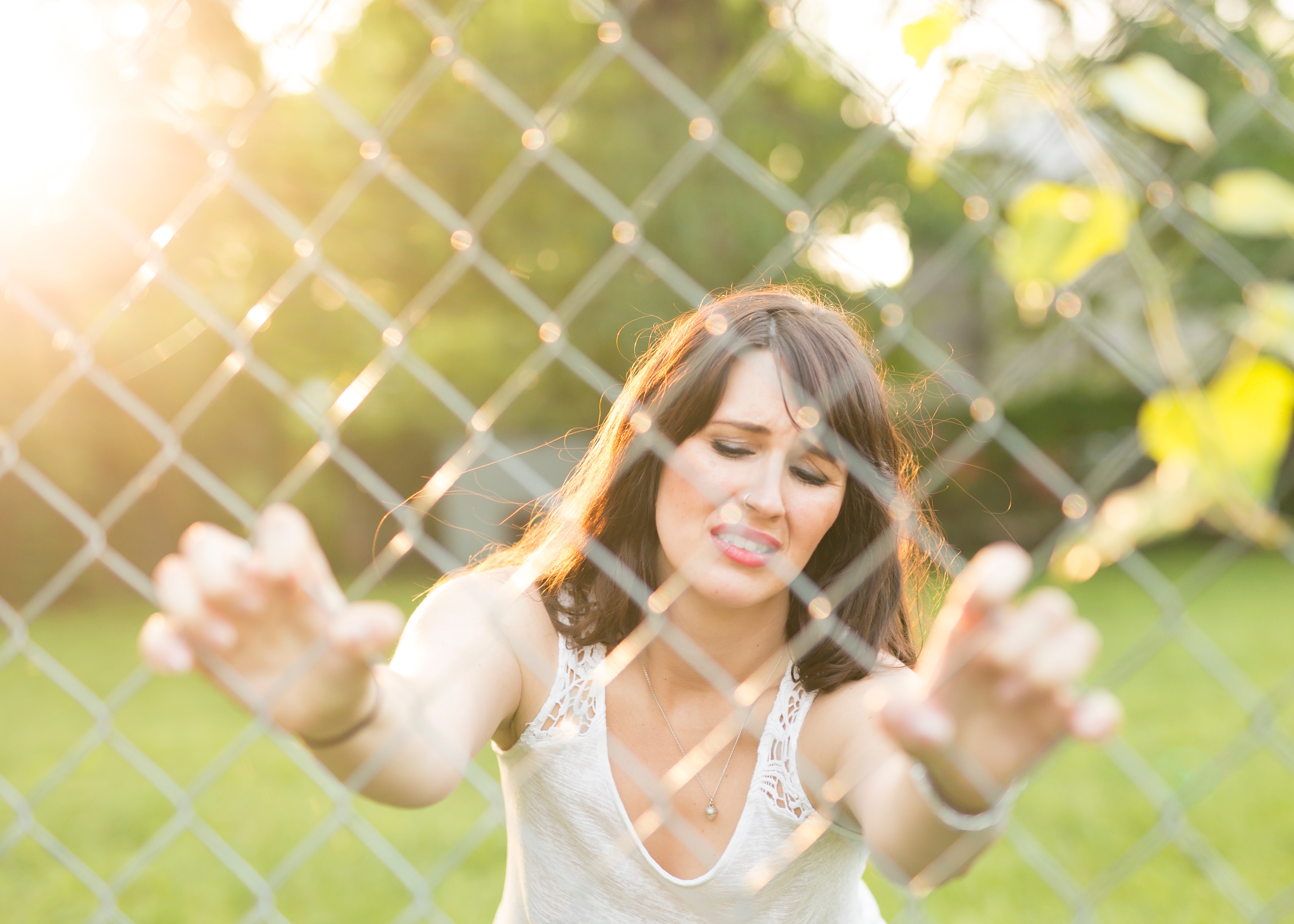 fence