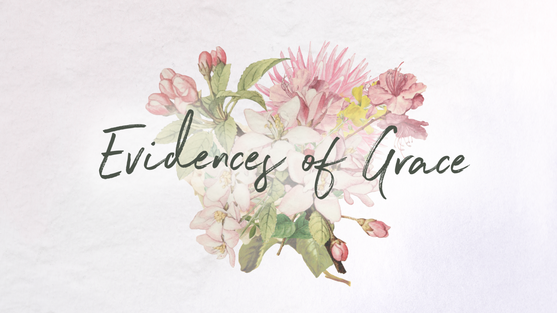 Evidences of Grace banner