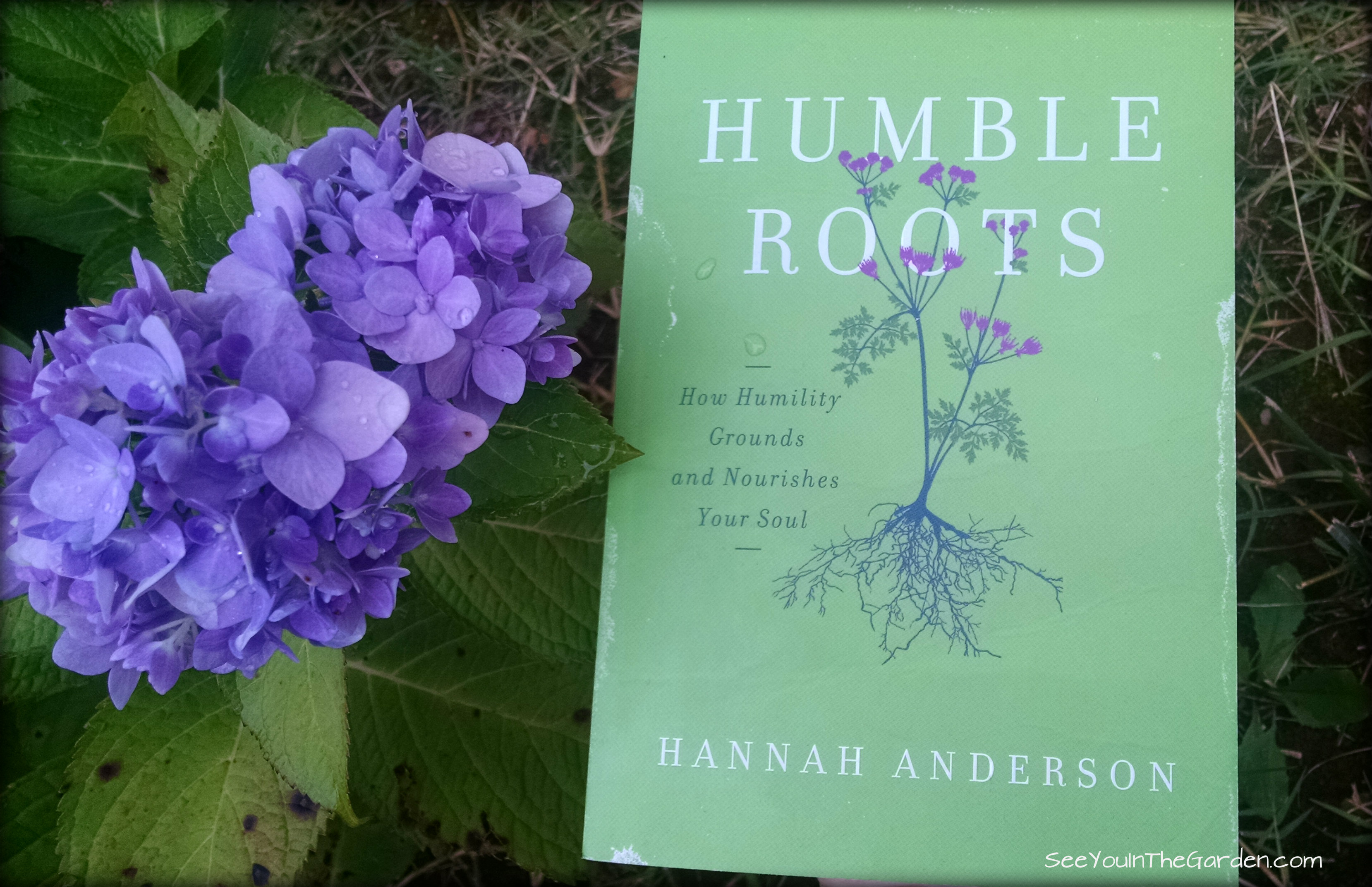 Humble-Roots image