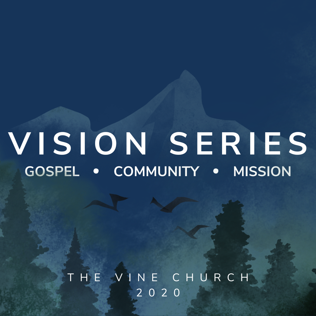 Vision Series 2020 image