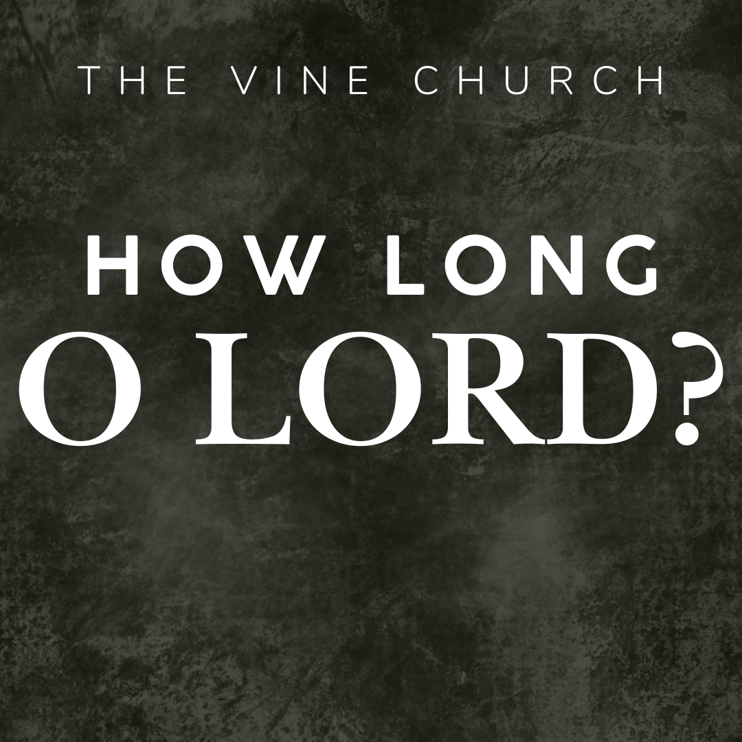 How Long, O Lord? image